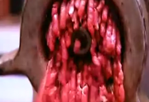 beef-pink-slime