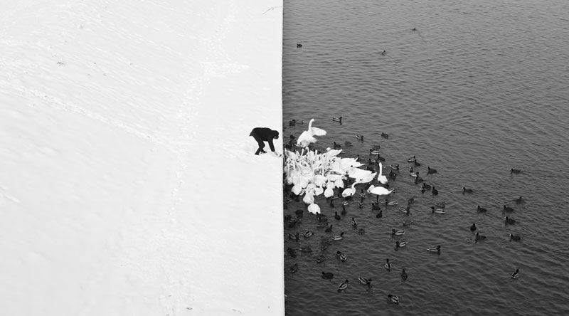 winter contrast in krakow poland black and white