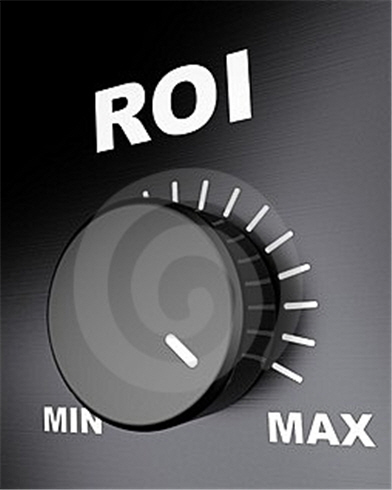 roi1