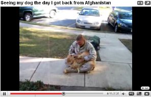 dog-returning-soldier-video