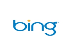 bing sued