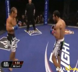 aldo vs urijah fight video