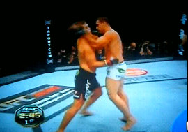 Shogun Knocks Out Machida