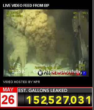 bp live oil spill feed1