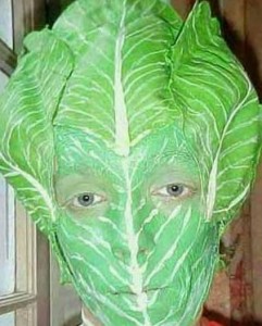 lettuceimage11