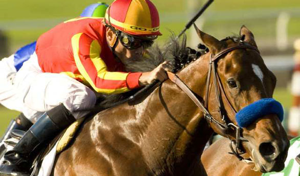 lookin at lukcy preakness 2010