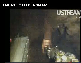 bp live oil spill feed