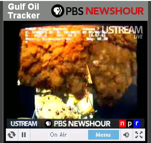 bp live oil spill feed1