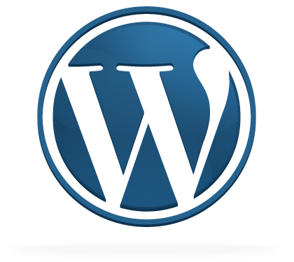 wordpress 3.0.2 update