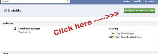facebook insights for websites how to wordpress