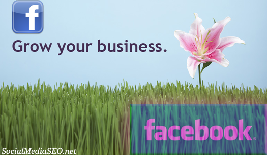 grow your business facebook1