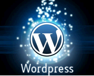 wordpress 3 1 1