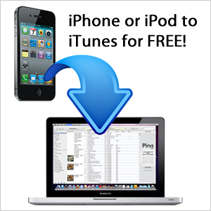 transfer music iphone to itunes