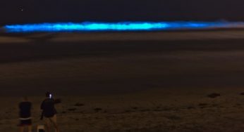The San Diego Ocean’s Blue Glow : Pictures of Tide Glowing Blue