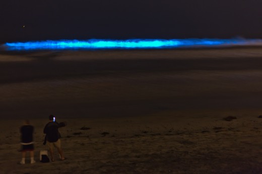 glowing ocean in san diego