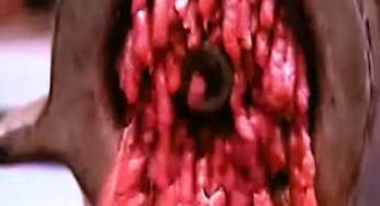 Pink Slime in Ground Beef – Goes Viral