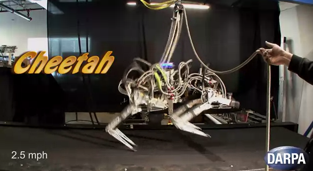 cheetah robot