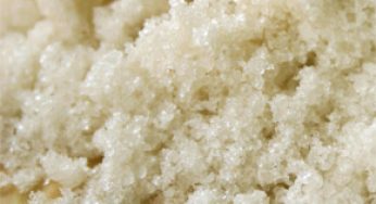 Bath Salts : Cause of Zombie Apocalypse in Miami