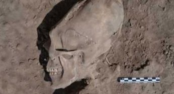 Alien Skulls Found in Mexico {Pictures}