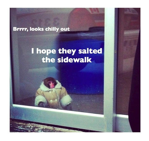salted sidewalk ikea monkey