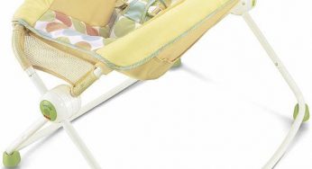 Fisher-Price Recalls Sleeper Due to Mold Risk