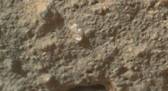Martian Flower Found By Mars Rover Curiosity