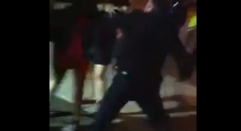 Cop Punches Woman During Brawl – Viral Video