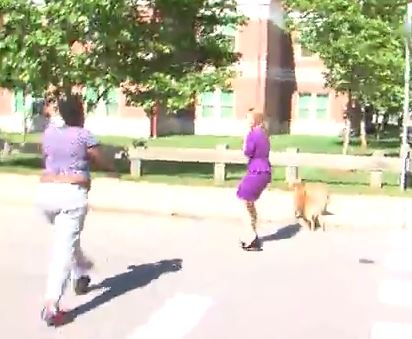 news crew attack rocks dog