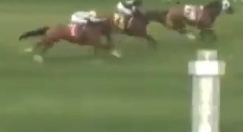 Riderless Horse Wins Race