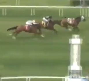 racehorse loses rider finishes race
