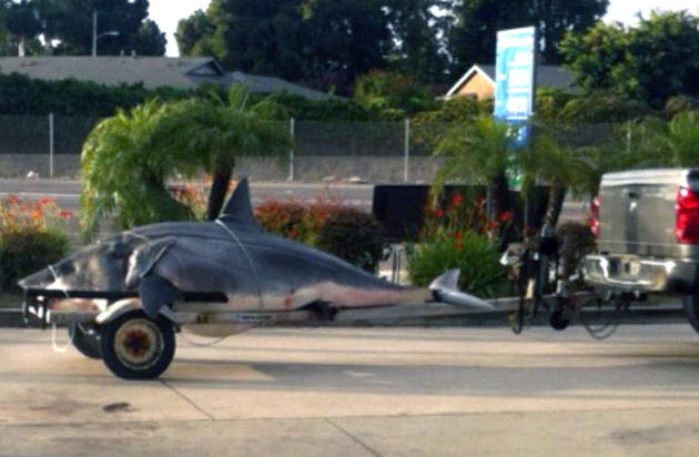 shark-catch-record-mako-california