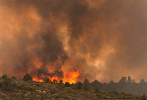 arizona-wild-fire-19-firefighters