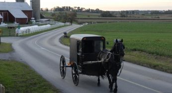 Amish Buggy Accident with Truck Kills 2