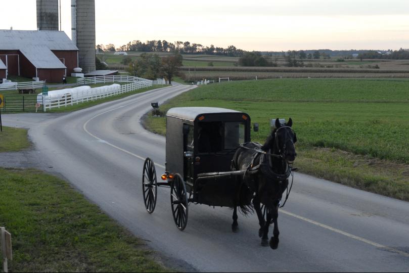 amish buggy accident