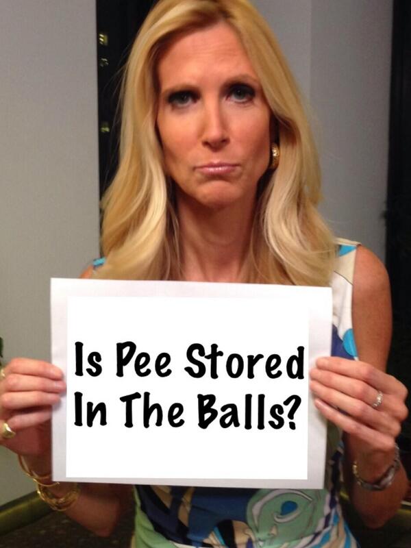 ann coulter twitter