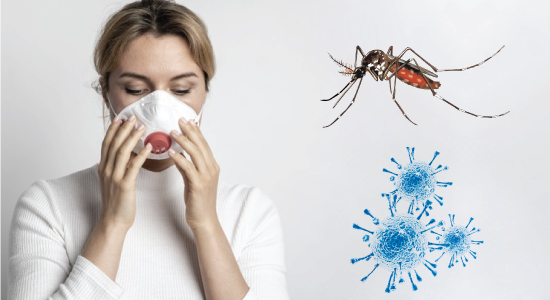 can mosquito transmit coronavirus